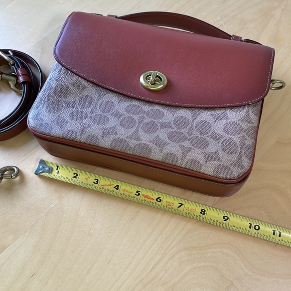 Cassie - Picture 8 of 9